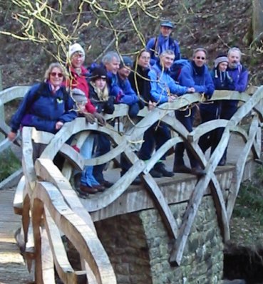 S-shaped bridge